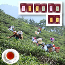 画像をギャラリービューアに読み込む, リーフティー 組合せ / 4種より1種選択