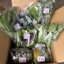 画像をギャラリービューアに読み込む, 季節の有機野菜セット<ライト>