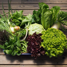 画像をギャラリービューアに読み込む, 季節の有機野菜セット<ライト>