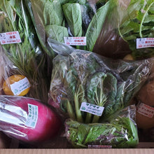 画像をギャラリービューアに読み込む, 季節の有機野菜セット<ライト>