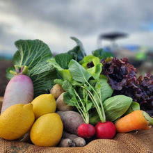 画像をギャラリービューアに読み込む, 季節の有機野菜セット<ライト>