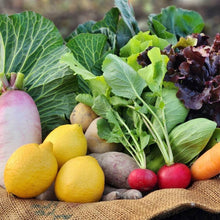 画像をギャラリービューアに読み込む, 季節の有機野菜セット<ライト>
