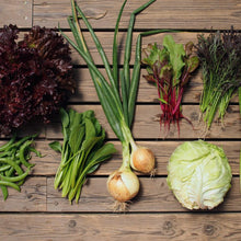 画像をギャラリービューアに読み込む, 季節の有機野菜セット<ライト>