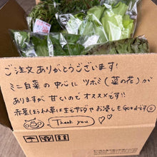 画像をギャラリービューアに読み込む, 季節の有機野菜セット<ライト>