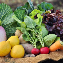 画像をギャラリービューアに読み込む, 季節の有機野菜セット<レギュラー>