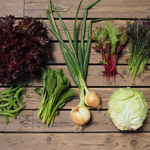 画像をギャラリービューアに読み込む, 季節の有機野菜セット<レギュラー>
