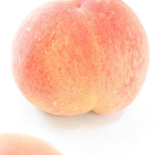 画像をギャラリービューアに読み込む, 【送料無料】ジャム2本セット(白桃,包近の桃) | アトリエコンフィチュール