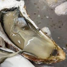画像をギャラリービューアに読み込む, バラ牡蠣 生食用