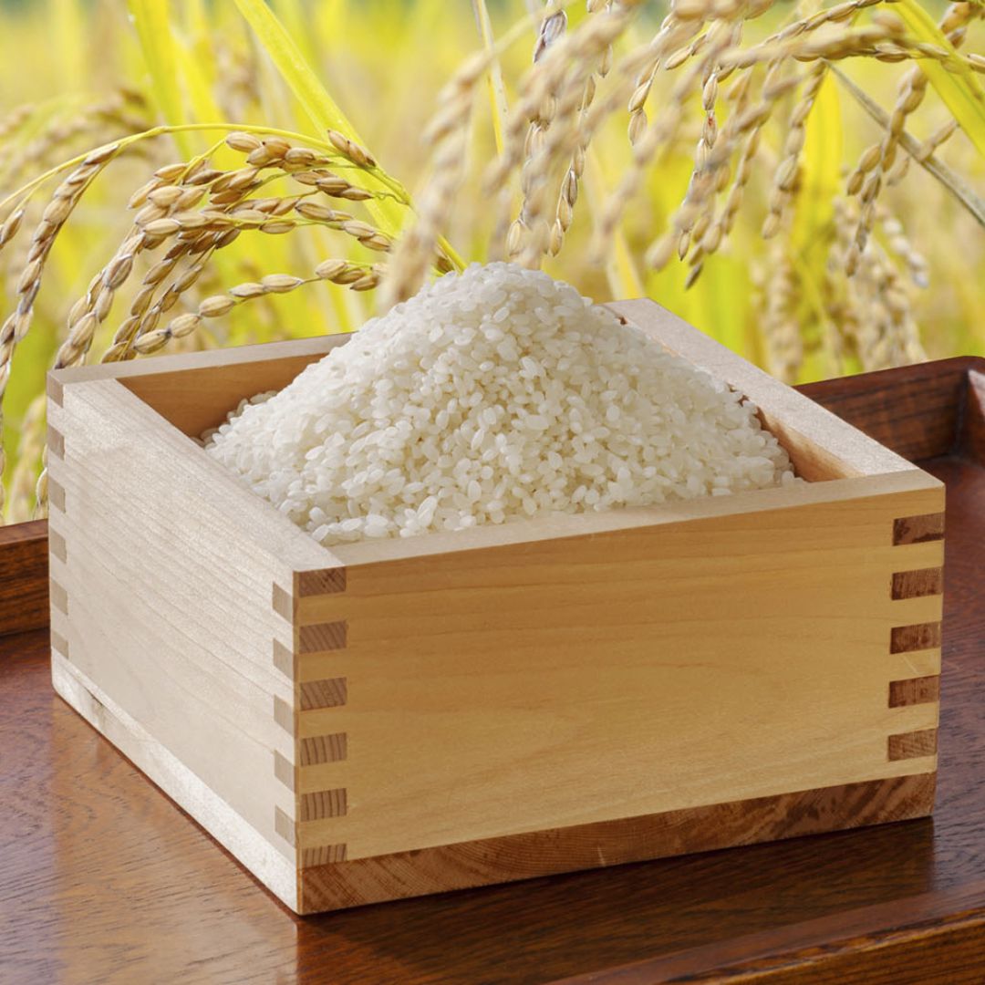 タナベ 初代田蔵 こども食堂応援ギフト 選りすぐり食べくらべ お米
