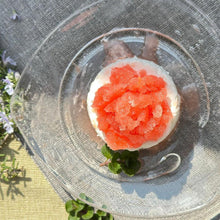 画像をギャラリービューアに読み込む, ブラッドオレンジのグラニータ添え | 空山チーズ工房