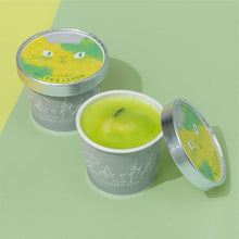 画像をギャラリービューアに読み込む, 農家のおやつジェラートMELON & LEMON(メロンとレモン)