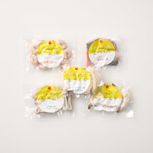 画像をギャラリービューアに読み込む, 【お母さんにやさしいおべんとシリーズ】5種セット