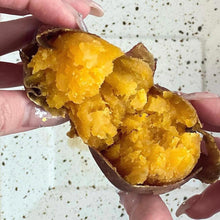 画像をギャラリービューアに読み込む, 種子島生まれの安納やきいも