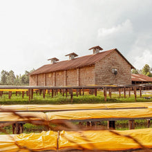 画像をギャラリービューアに読み込む, ケニア グアマ・ファクトリー 200g×2袋 | Roost Coffee Roaster