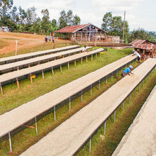 画像をギャラリービューアに読み込む, ケニア グアマ・ファクトリー 200g×2袋 | Roost Coffee Roaster