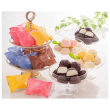 画像をギャラリービューアに読み込む, 【送料込】A-SB銀座京橋 レ ロジェ エギュスキロール ショコラアイスボール | Smile collection