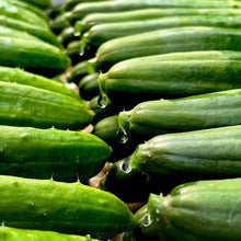 画像をギャラリービューアに読み込む, 至極 きゅうり 24本入り | Excel Farm (エクセルファーム)