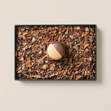 画像をギャラリービューアに読み込む, MAMEIL NAMA CHOCOLATE MACARON - Chocolate / Pistachio / Coffee / Blood orange / Creme brulee(6個入)