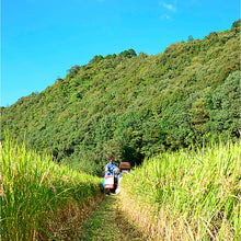 画像をギャラリービューアに読み込む, 四万十のお米