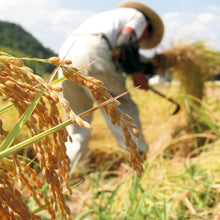 画像をギャラリービューアに読み込む, 四万十のお米