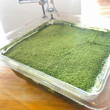 画像をギャラリービューアに読み込む, 濃厚抹茶ティラミス