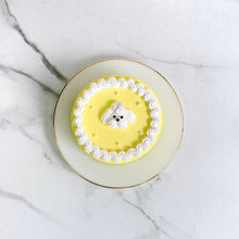 画像をギャラリービューアに読み込む, マルチーズセンイルケーキ