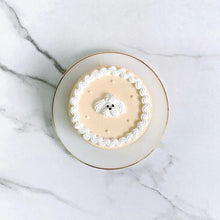 画像をギャラリービューアに読み込む, マルチーズセンイルケーキ