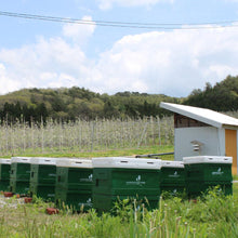 画像をギャラリービューアに読み込む, 平井養蜂園