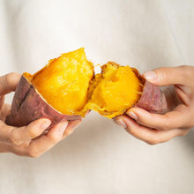 画像をギャラリービューアに読み込む, 紅はるか