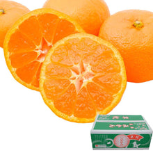 画像をギャラリービューアに読み込む, JAたまな 熊本県産 特選ブランドみかん「草枕」4kg 糖度12度以上