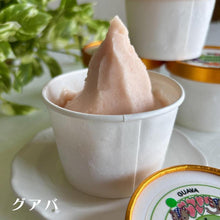 画像をギャラリービューアに読み込む, グアバ | クワンチャイ