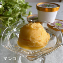 画像をギャラリービューアに読み込む, マンゴ | クワンチャイ