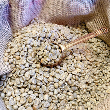 画像をギャラリービューアに読み込む, キリマンジャロ キボースノートップ 150g