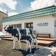 画像をギャラリービューアに読み込む, 店舗