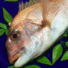 画像をギャラリービューアに読み込む, 九十九島産 鯛あら炊きと鯛カマ塩焼き