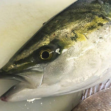 画像をギャラリービューアに読み込む, 鰤