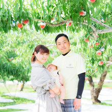 画像をギャラリービューアに読み込む, 製造者