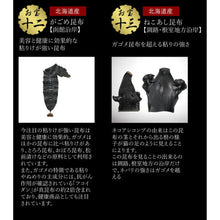 画像をギャラリービューアに読み込む, 昆布