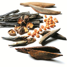 画像をギャラリービューアに読み込む, だし