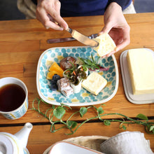 画像をギャラリービューアに読み込む, Fajans プレート