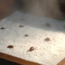 画像をギャラリービューアに読み込む, 餅