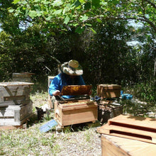 画像をギャラリービューアに読み込む, 製造工程