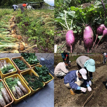 画像をギャラリービューアに読み込む, 畑