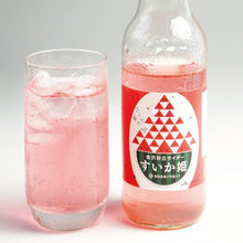 画像をギャラリービューアに読み込む, 金沢砂丘サイダー すいか姫(6本入/12本入/18本入/24本入) | 能登の塩「DENEN(でんえん)」