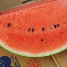 画像をギャラリービューアに読み込む, 金沢砂丘サイダー すいか姫(6本入/12本入/18本入/24本入) | 能登の塩「DENEN(でんえん)」