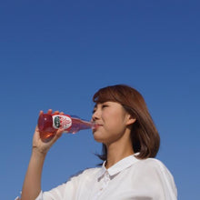 画像をギャラリービューアに読み込む, 金沢砂丘サイダー すいか姫(6本入/12本入/18本入/24本入) | 能登の塩「DENEN(でんえん)」