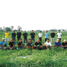 画像をギャラリービューアに読み込む, 金沢砂丘サイダー すいか姫(6本入/12本入/18本入/24本入) | 能登の塩「DENEN(でんえん)」