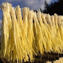 画像をギャラリービューアに読み込む, にら