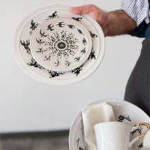 画像をギャラリービューアに読み込む, Mulet プレート フェナキストスコープ