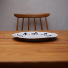 画像をギャラリービューアに読み込む, Mulet プレート フェナキストスコープ